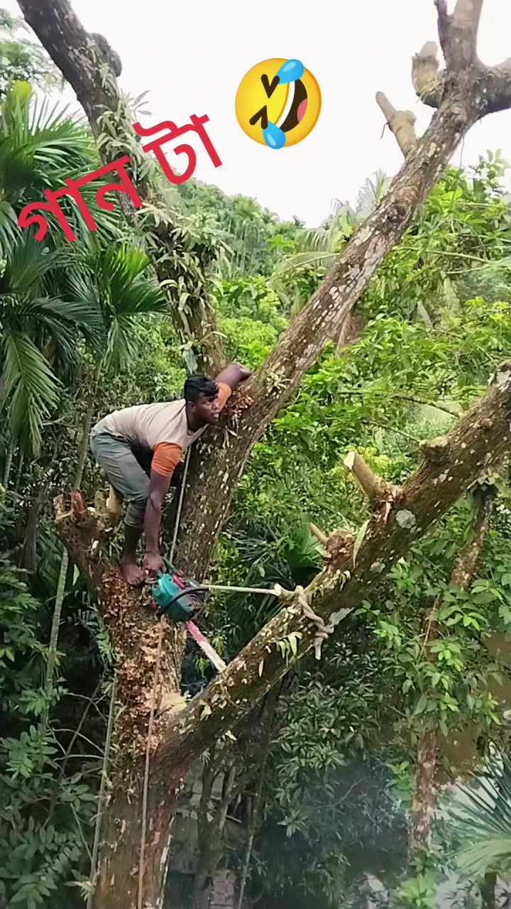 @যশোরের পোলা