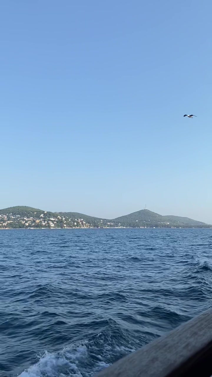 @rsh.turkan