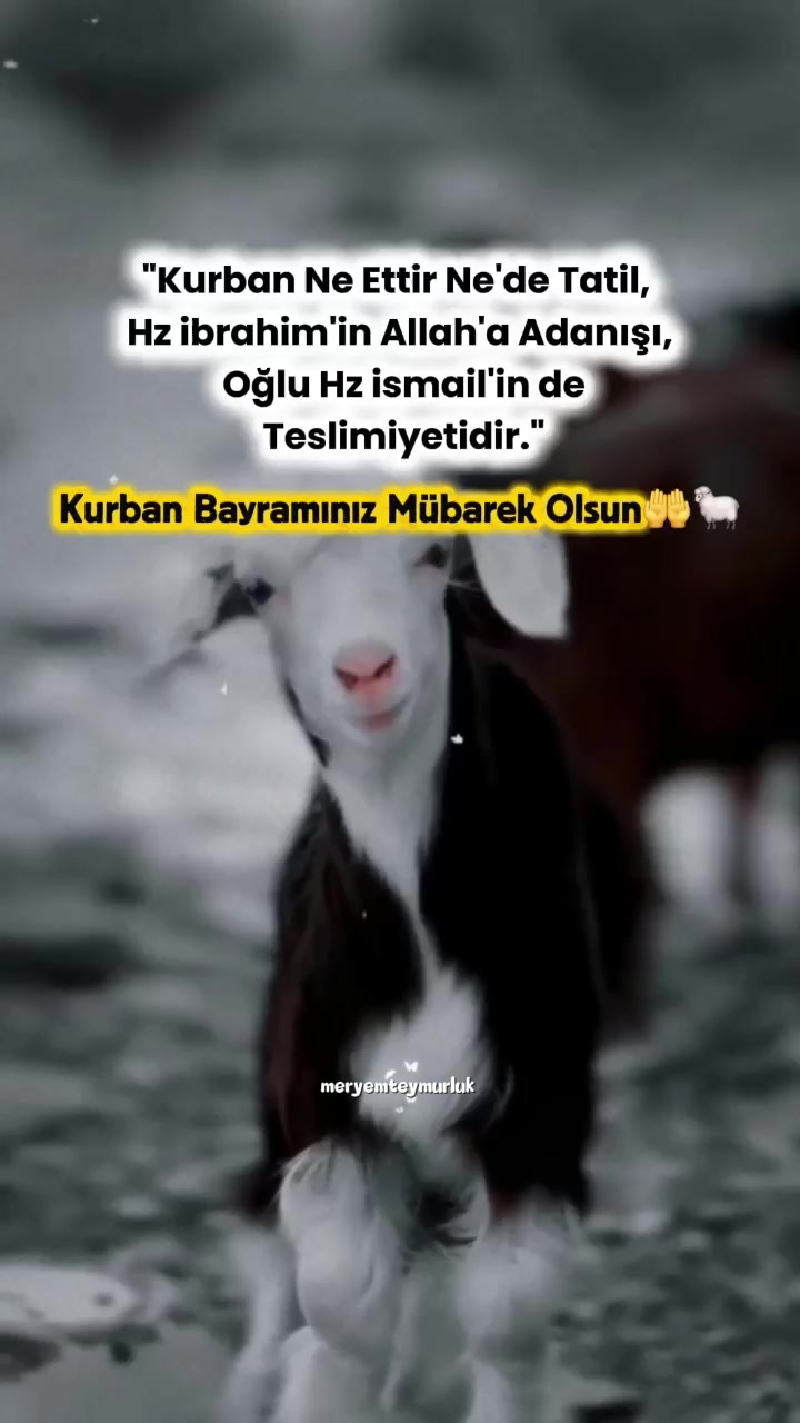 @Meryemteymurluk7
