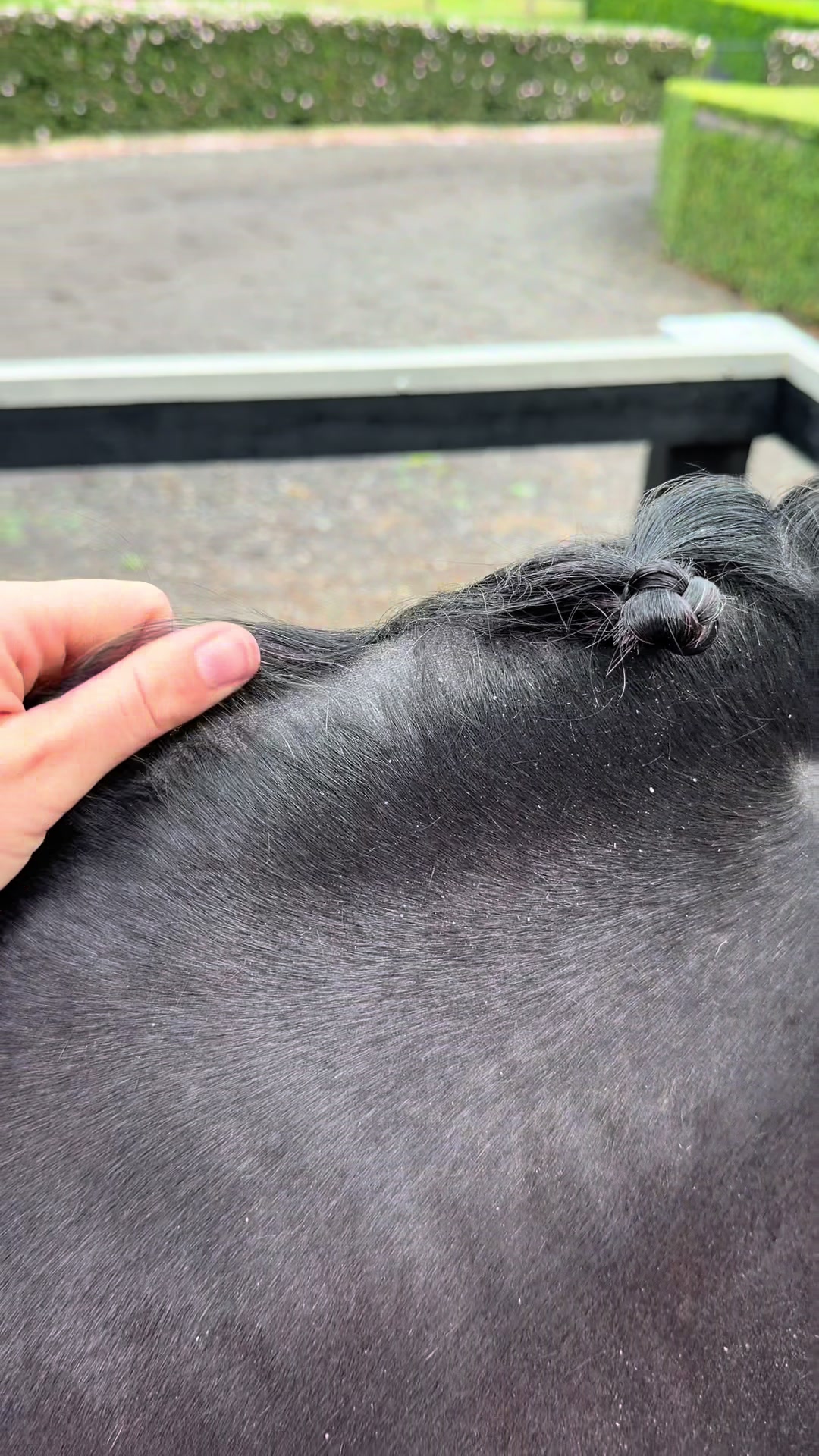 @Luxe Lengths Equine Extensions