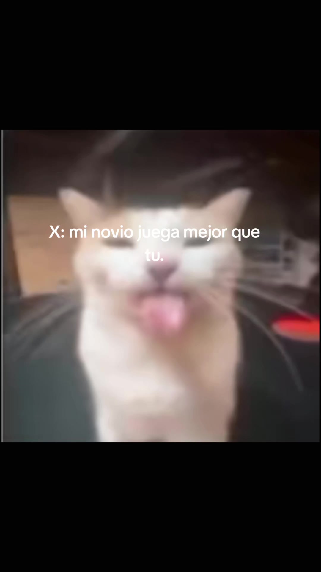 @⸙모┊ZATTO🇲🇽