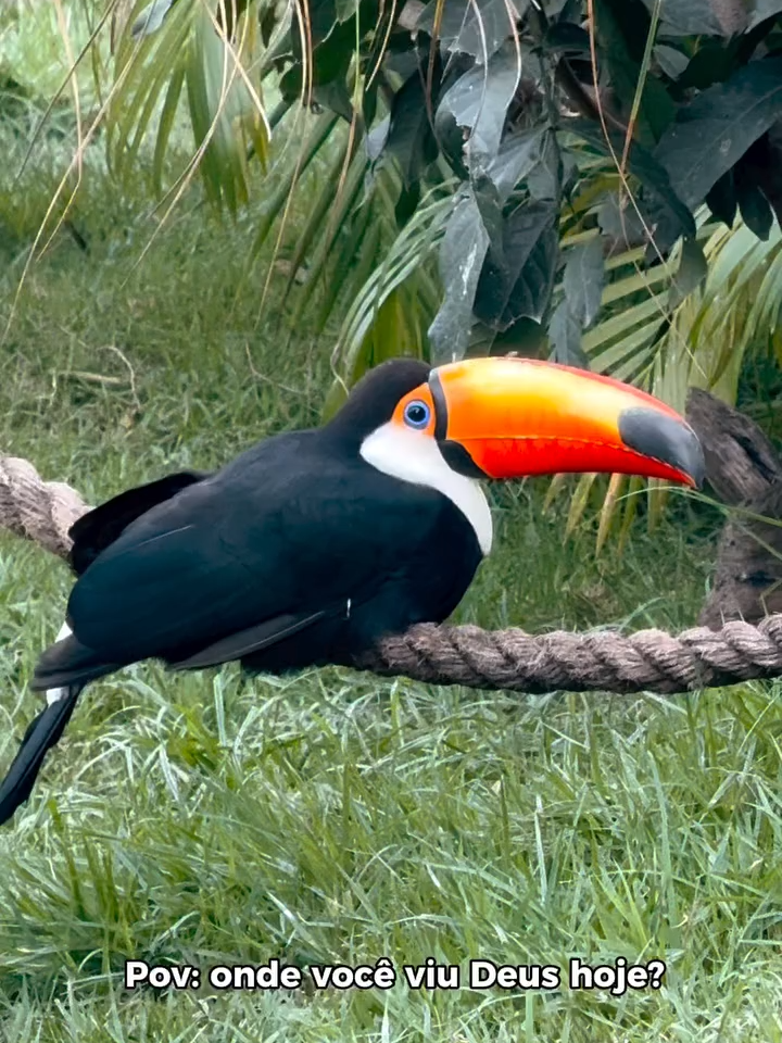 @Parque Três Pescadores