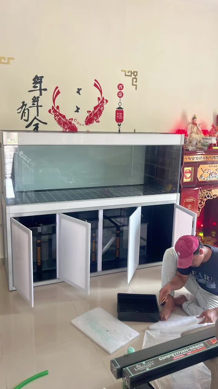 @Pearl Aquatics