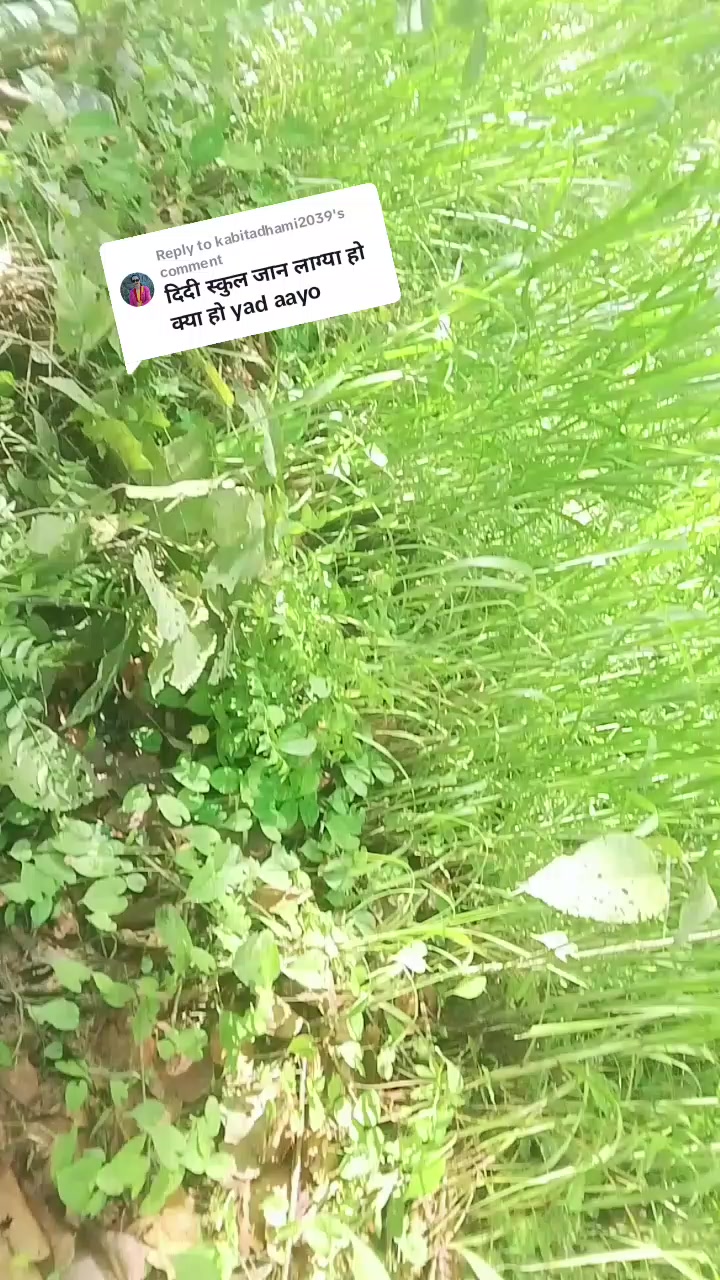 @बिनु 💞