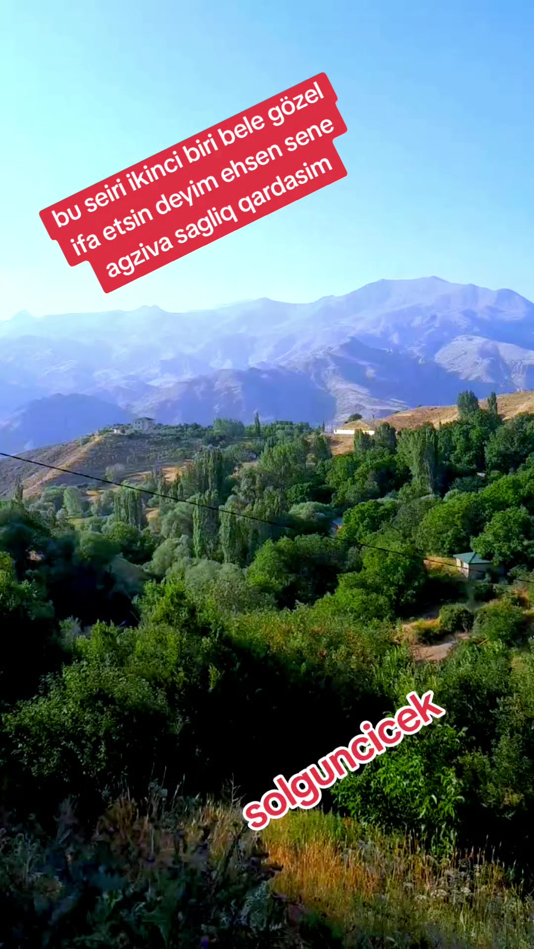 @Solguncicek