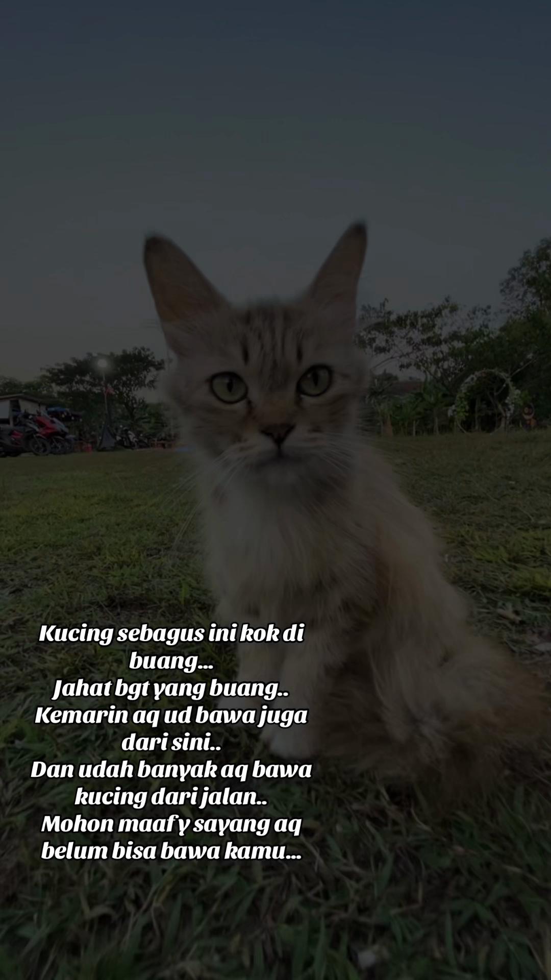 @Adhe_Kakak