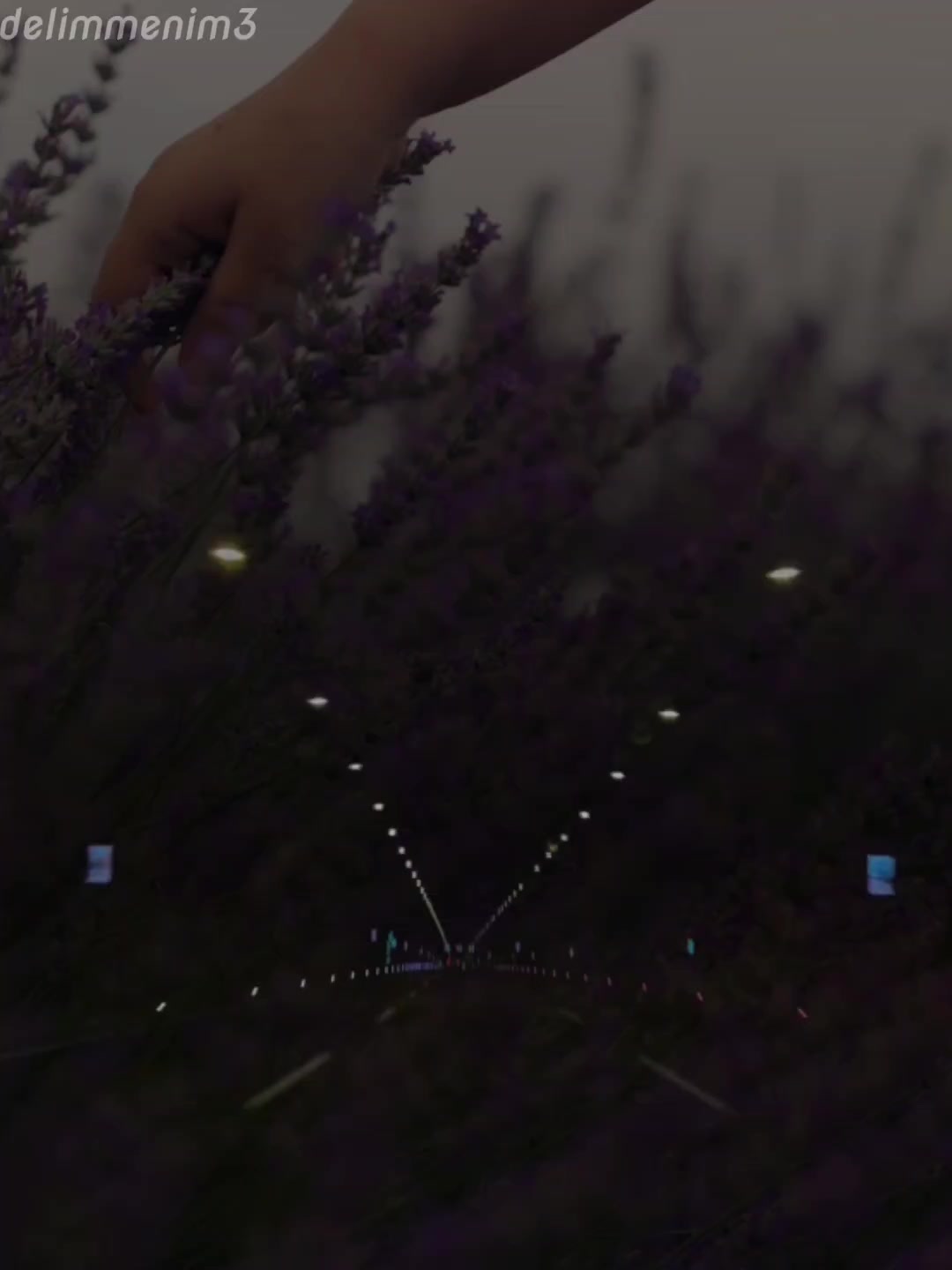 @❤️🤍𝑫𝒆𝒍𝒊𝒎_𝑴𝒆𝒏𝒊𝒎🤍❤️