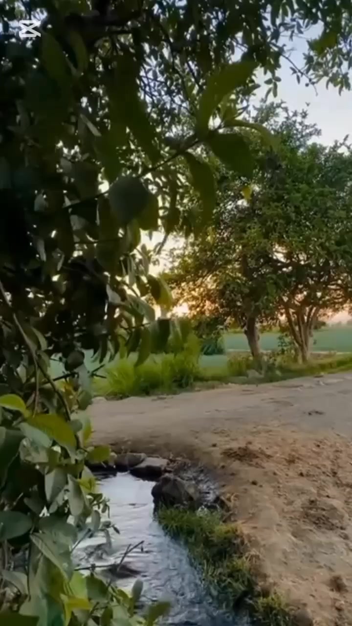@🦅🇪🇬احمد عصام الحرايري🇪🇬🦅