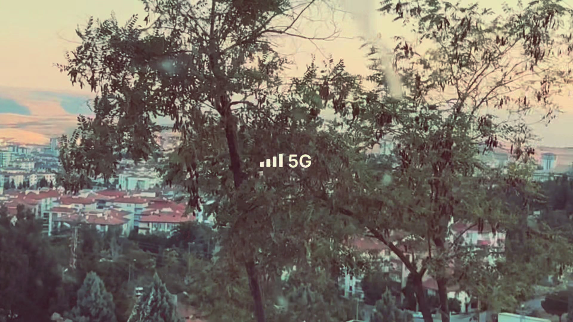 @ցս̈νεռ ժεร̧էȋօց̆lս