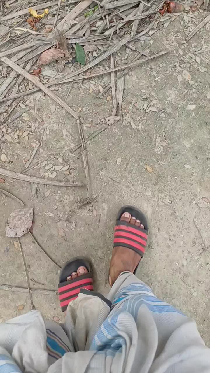 @Tapas Sutradhar