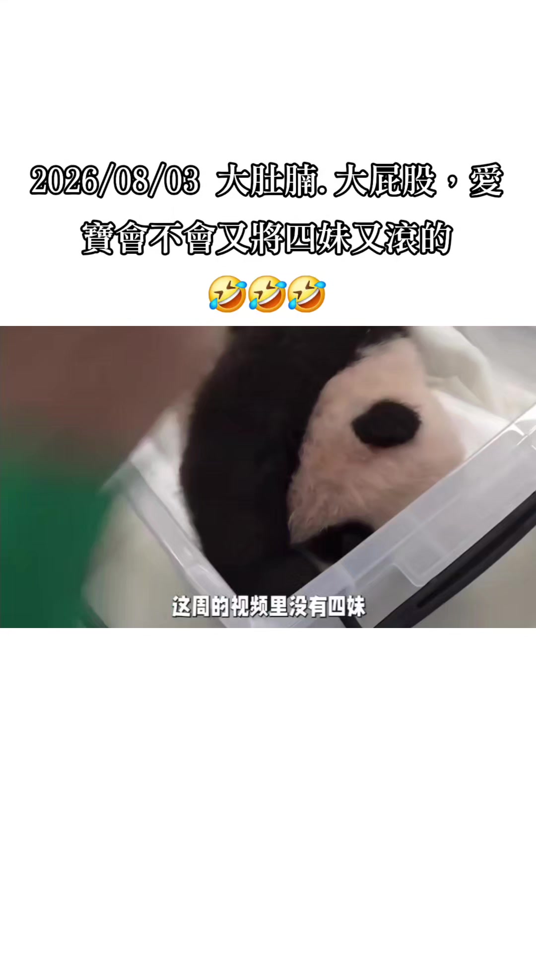 @福寶需要愛的抱抱