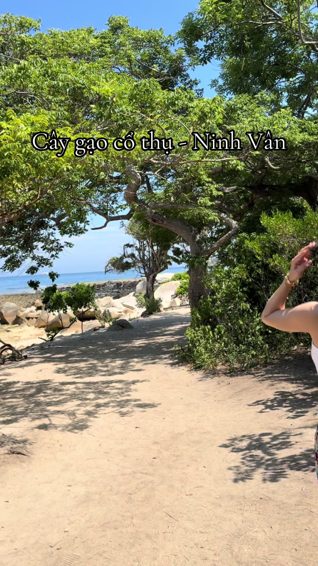 @Diệu Thiện