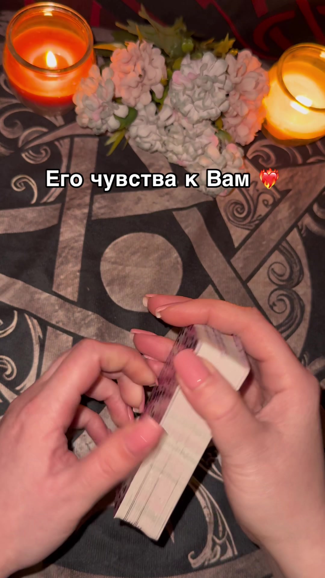 @Oksi_fox