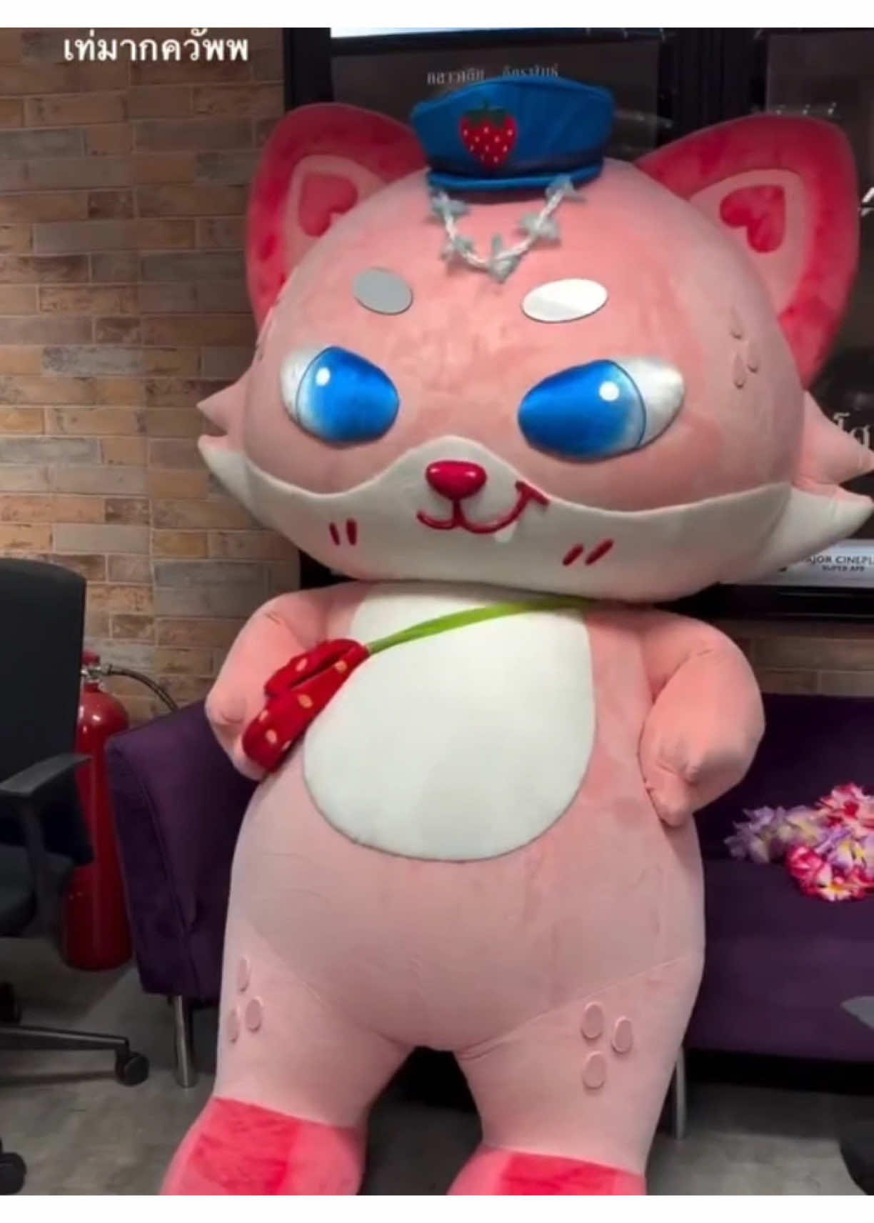 @THOMASKONG03