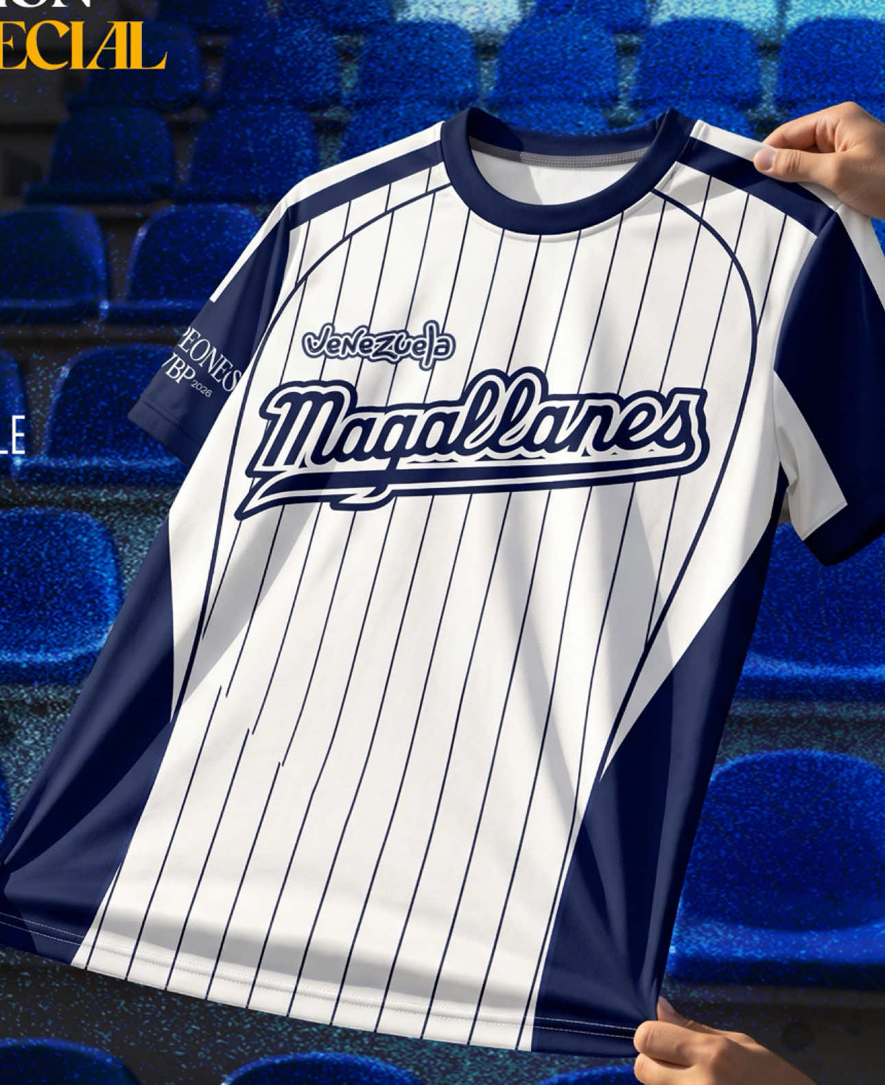 @franyer_magallanes