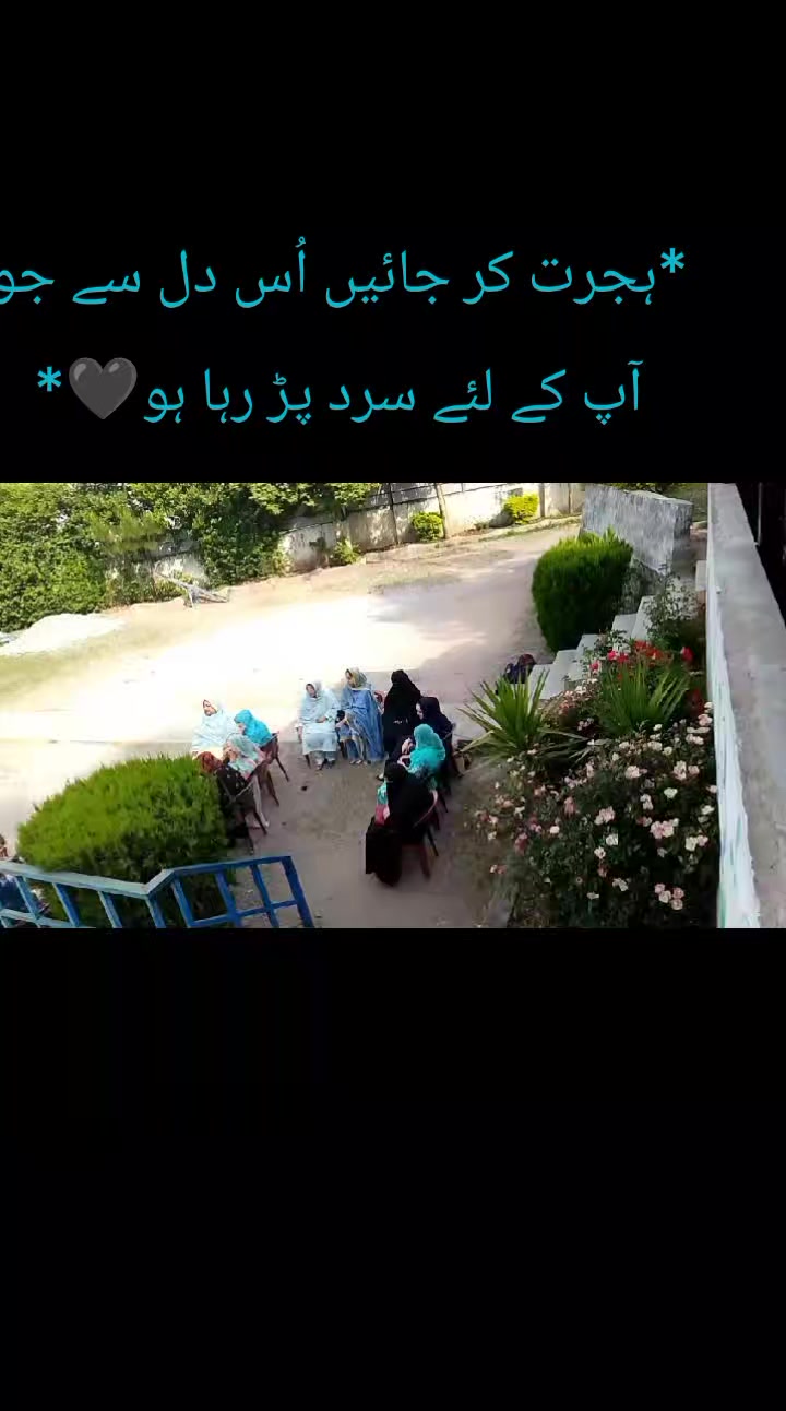 @Shah Hussain Bukhari🍁
