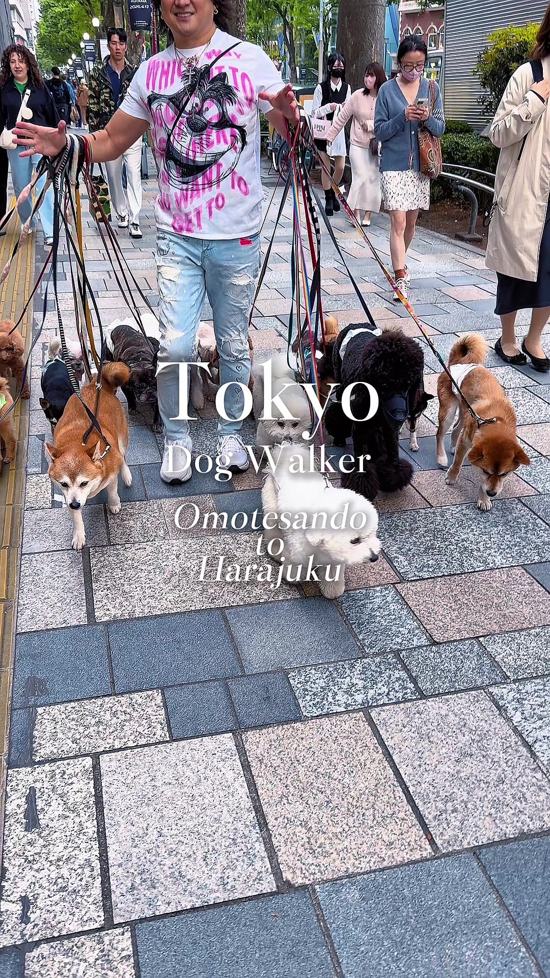 @のらよ🏮Norayo