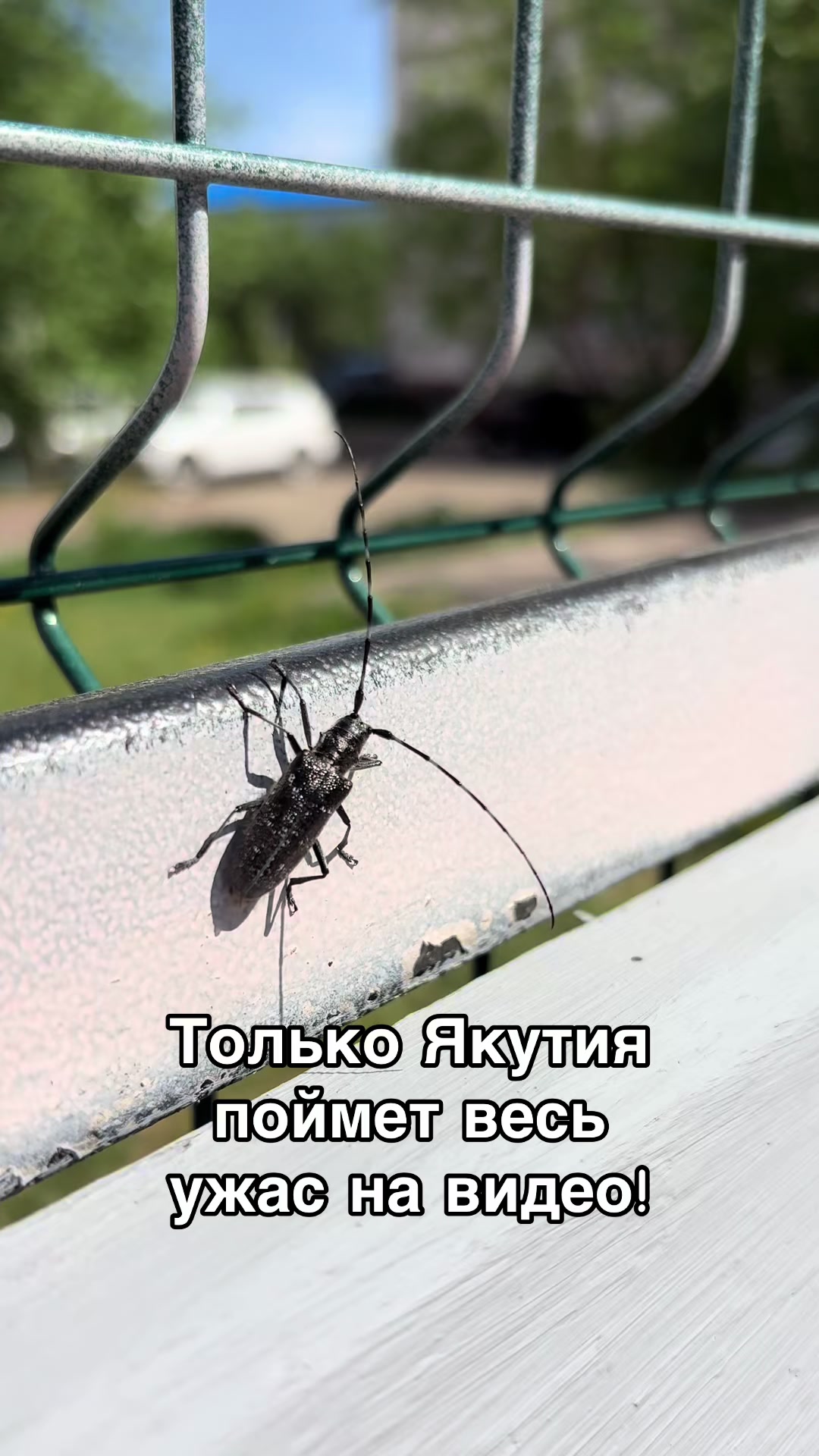 @ОЛЕЧКА РОМАНОВА