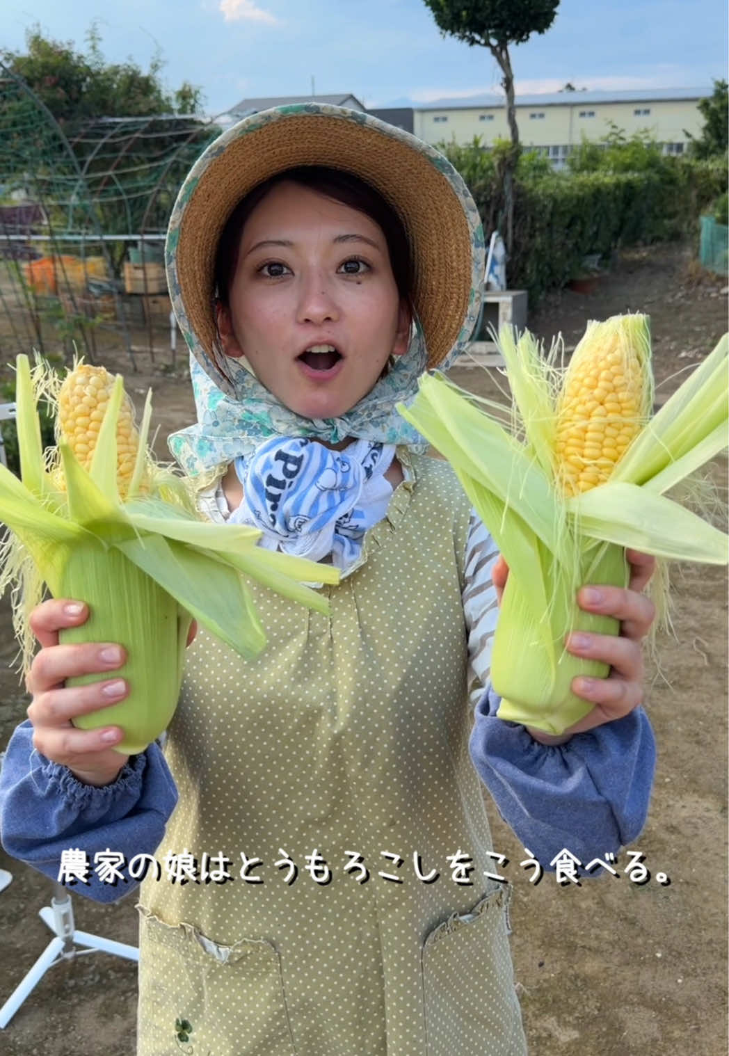 @こぴ