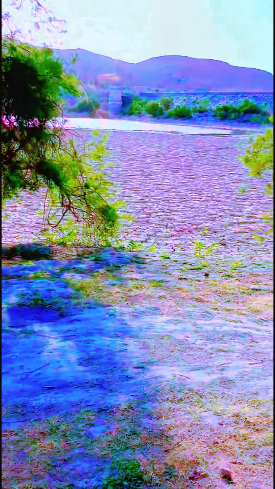 @🥀Ɓãčĥă Ţăřęęñ😍