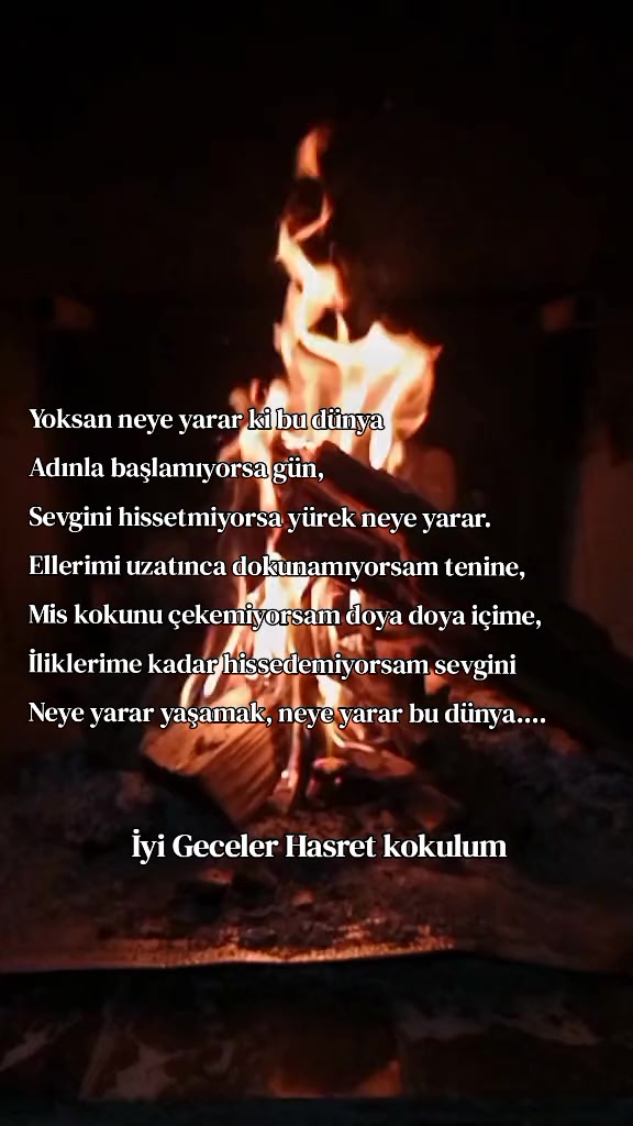 @🖋️şiirlerin efendisi🖋️