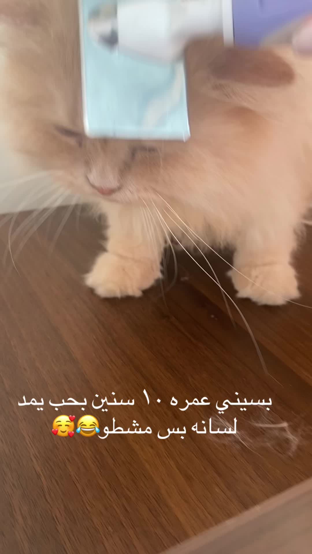@saraaeter