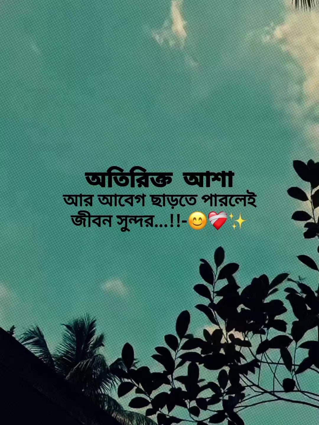 @Rakib Khan