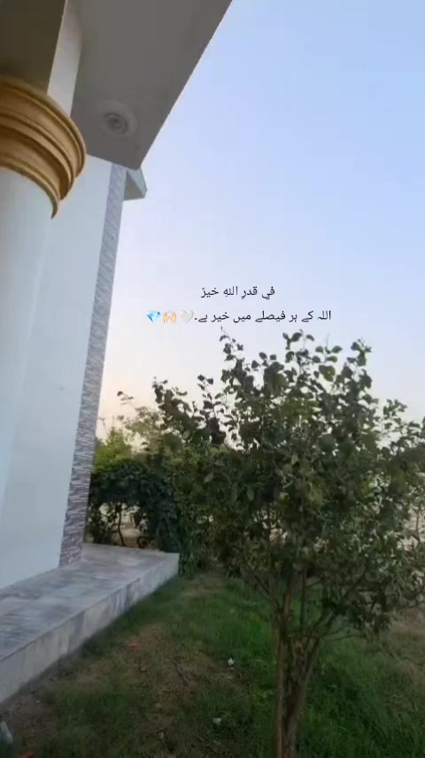 @ماہرہ ملک⚜️