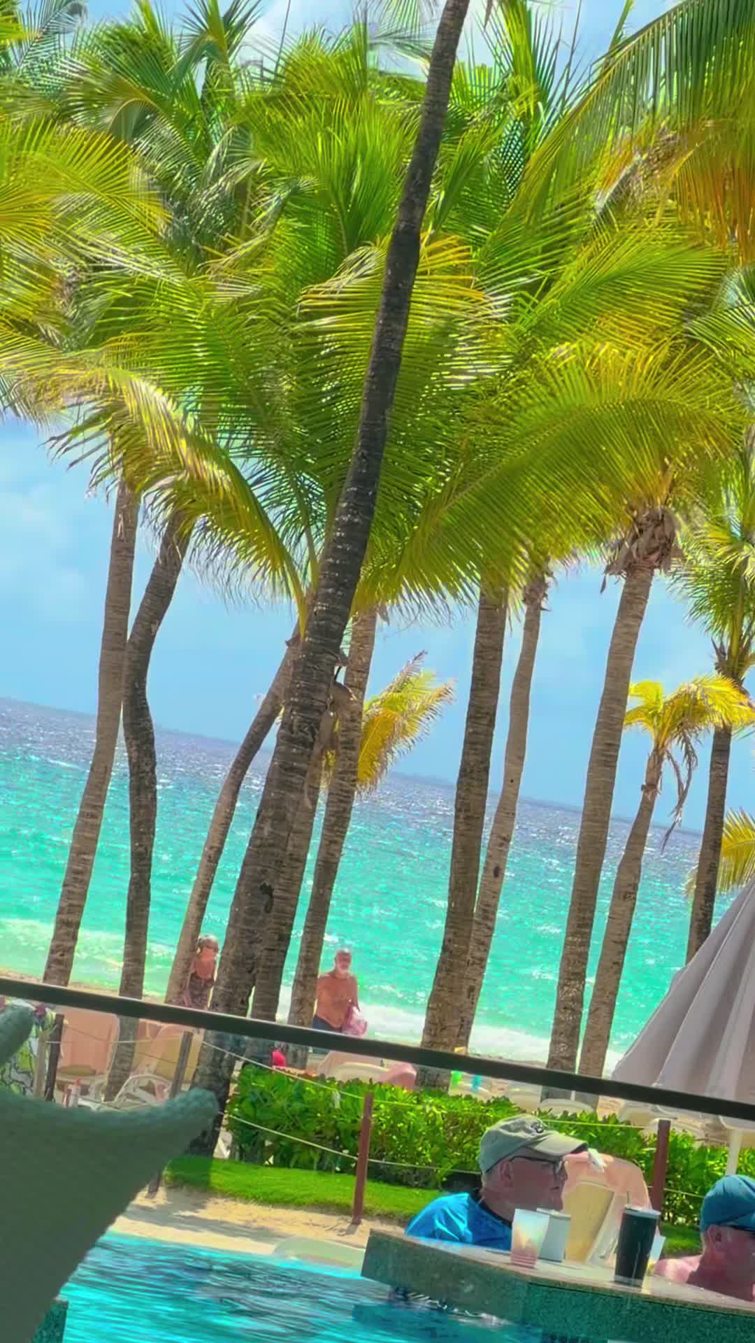 @vanessareyes5150