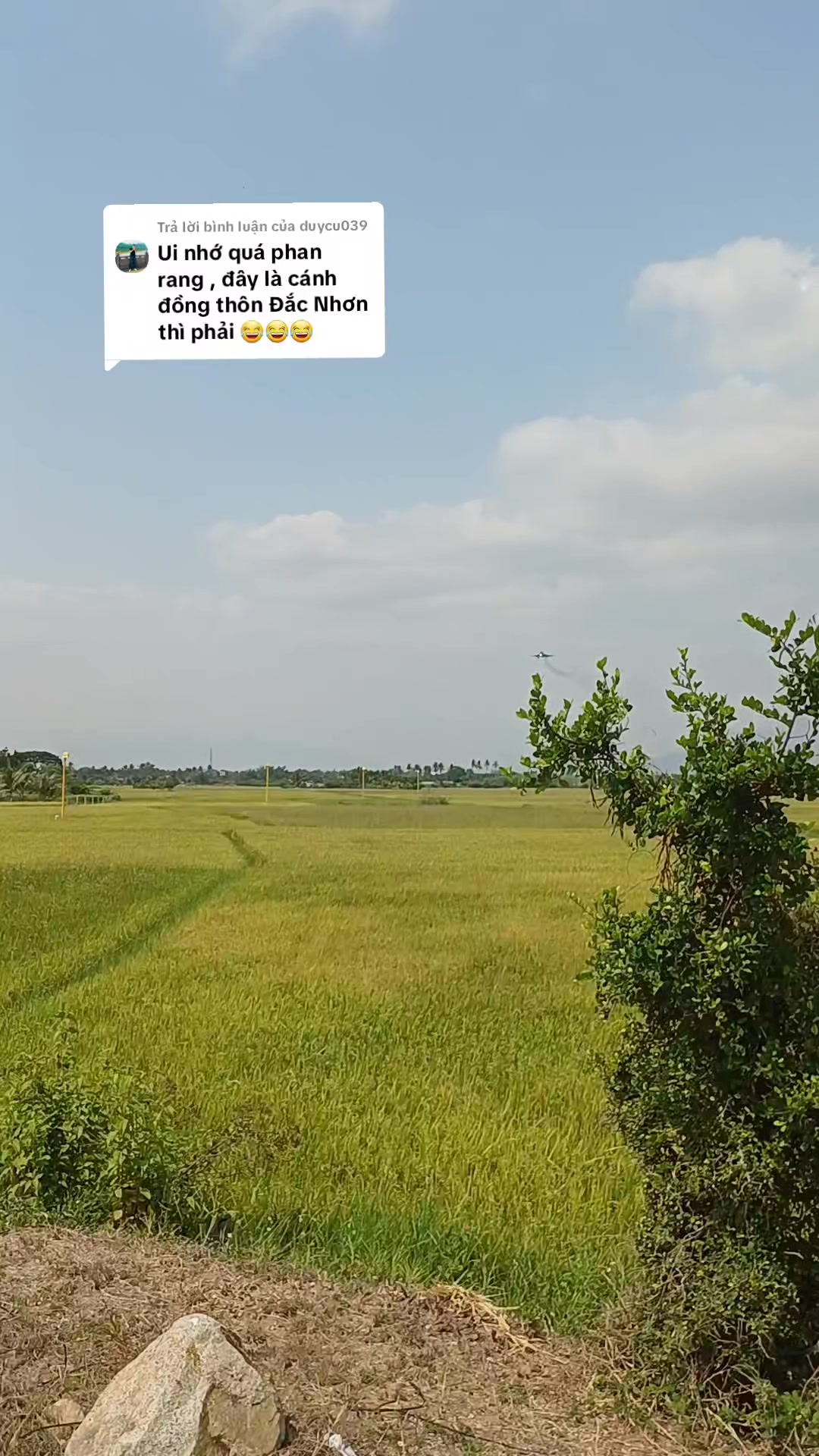 @Hoàng Hưng ✈️