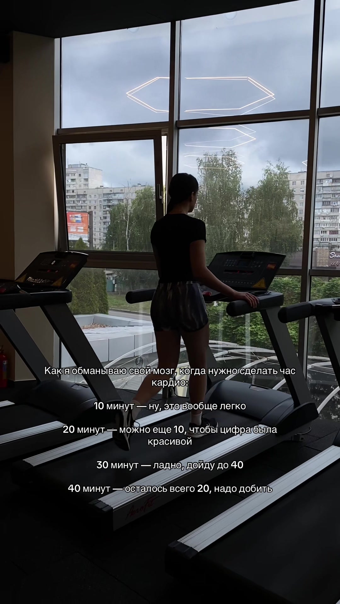 @Сонифиха