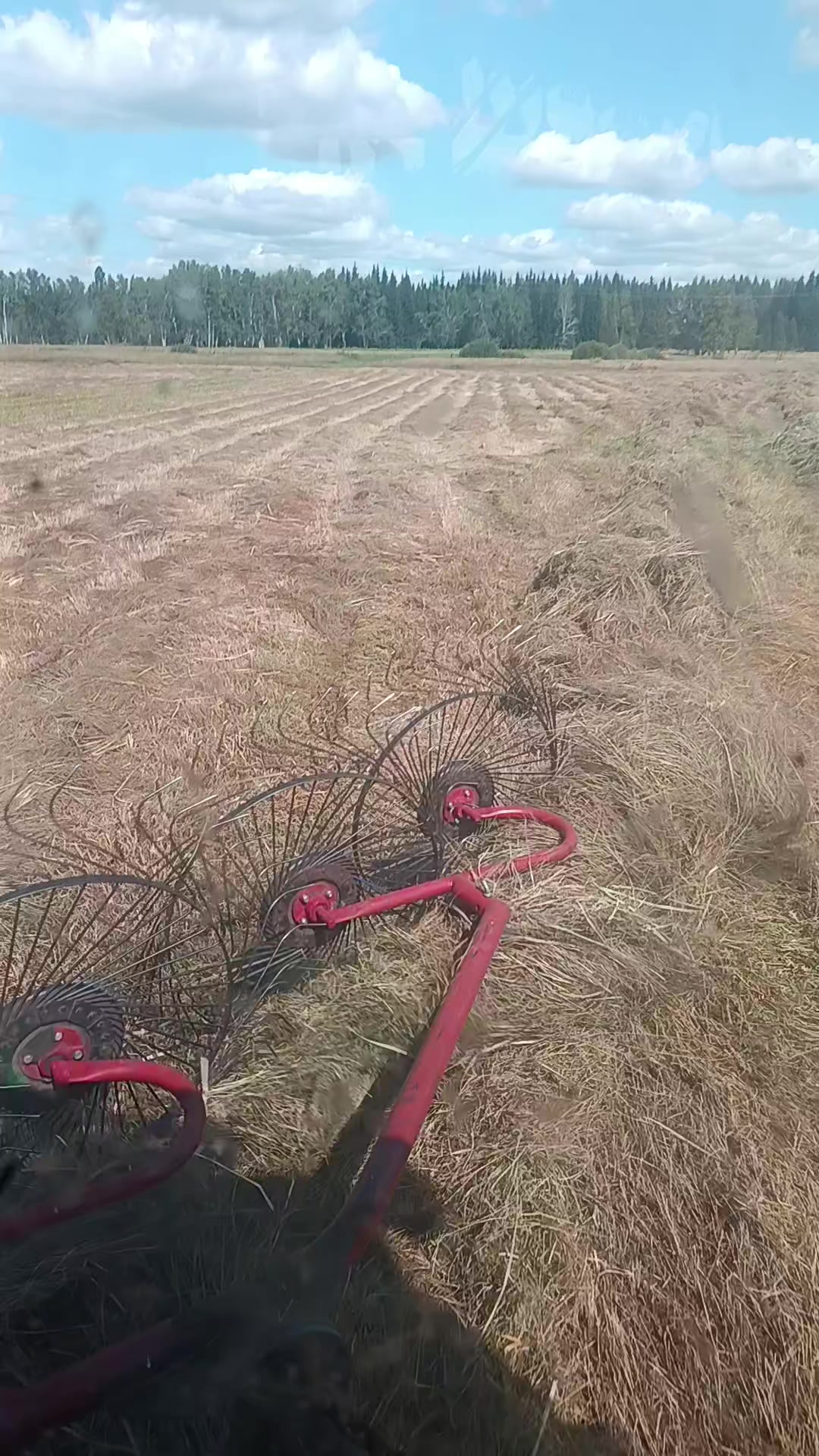 @55 Николайхрамов✌️✌️