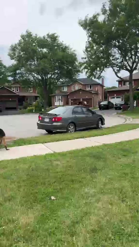 @kakashaunki CANADIAN 🇨🇦