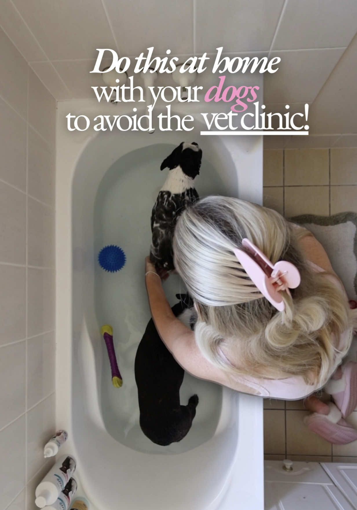 @Tess the Vet Nurse