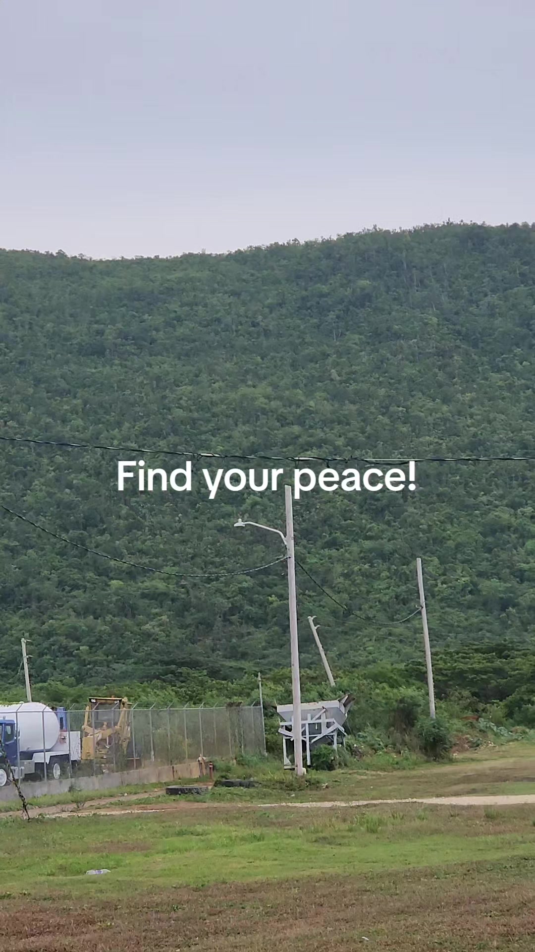 @Zimera Love🇯🇲🇨🇦