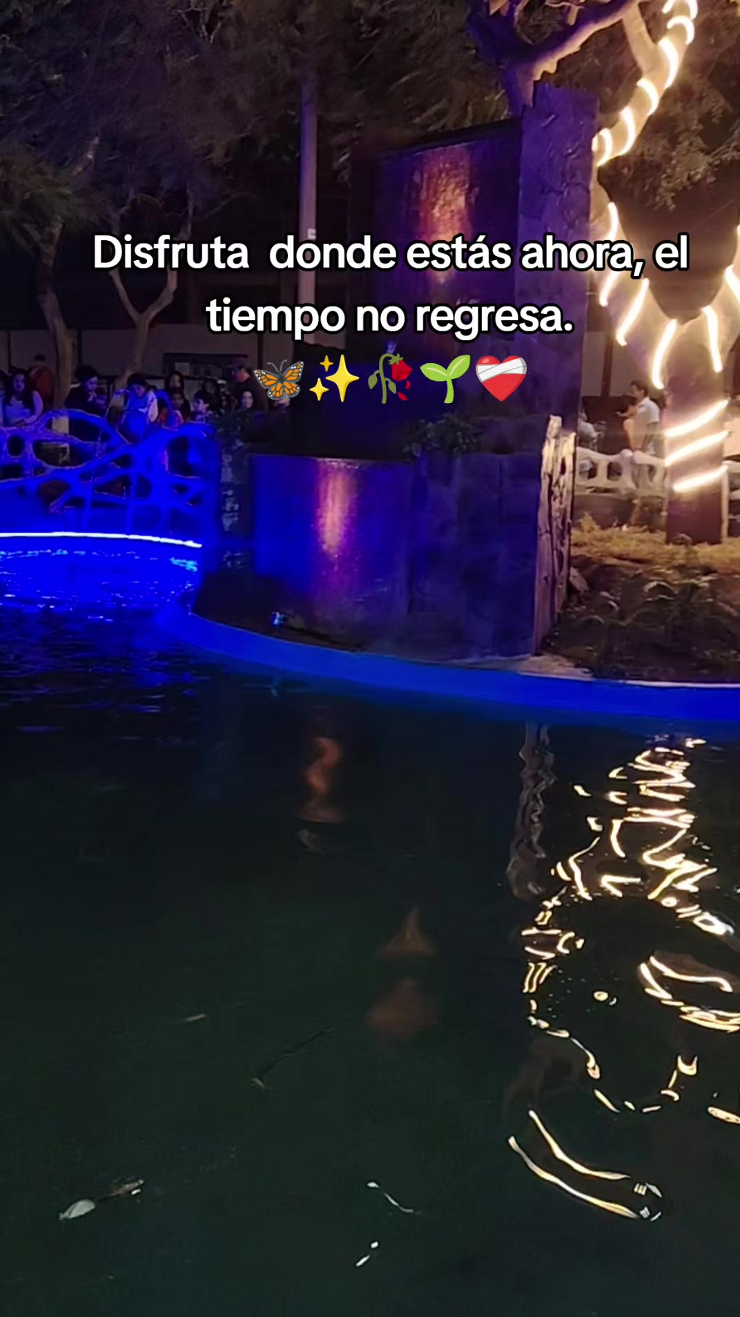 @Pamela 🐰⚡