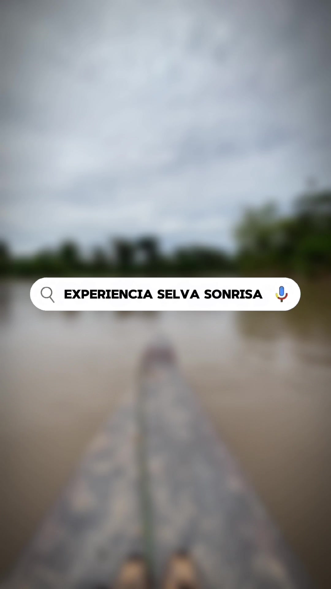 @Fundaci&oacute;n Selva Sonrisa