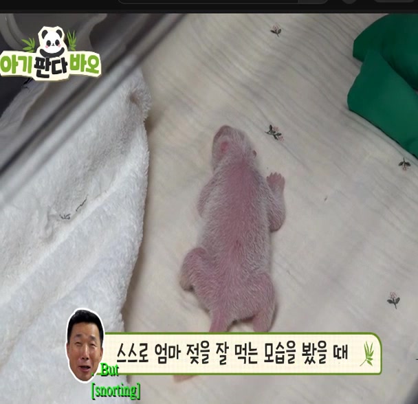 @K-PANDA kim
