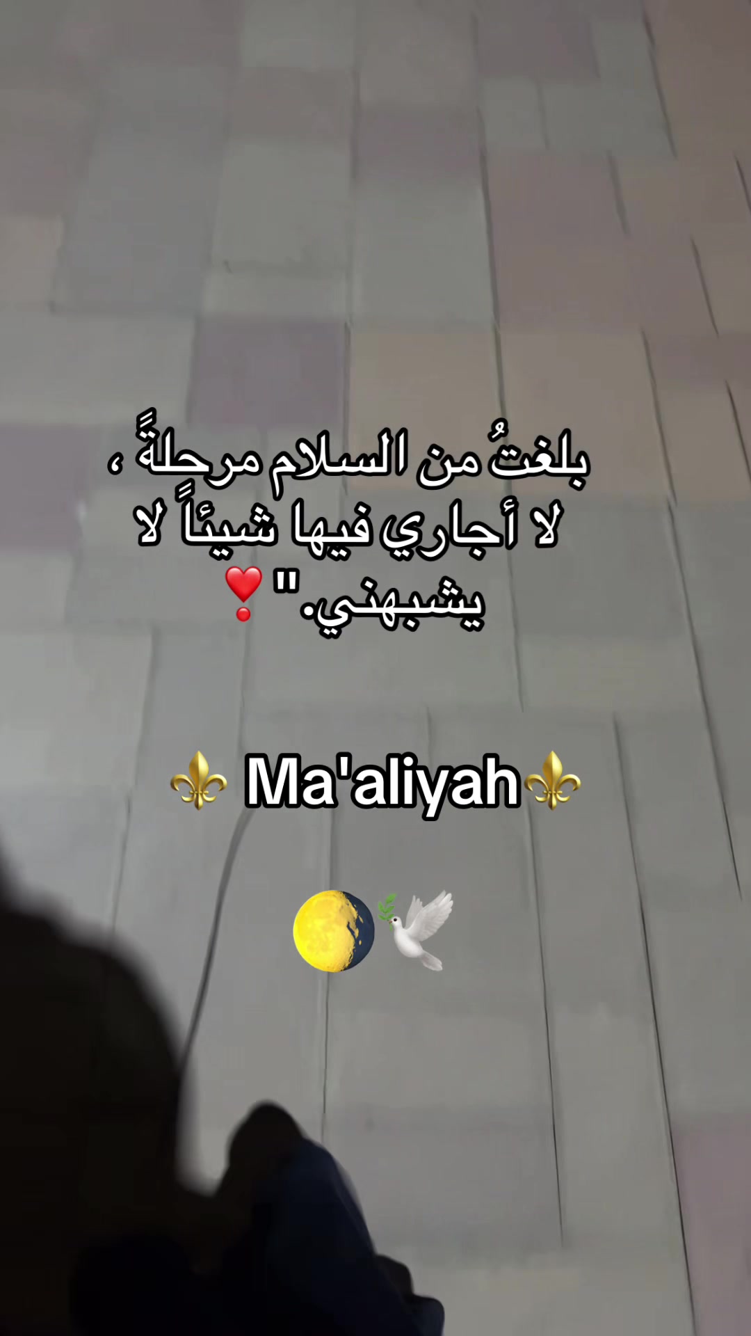 @Ma'aliyah🐆🐆🌕