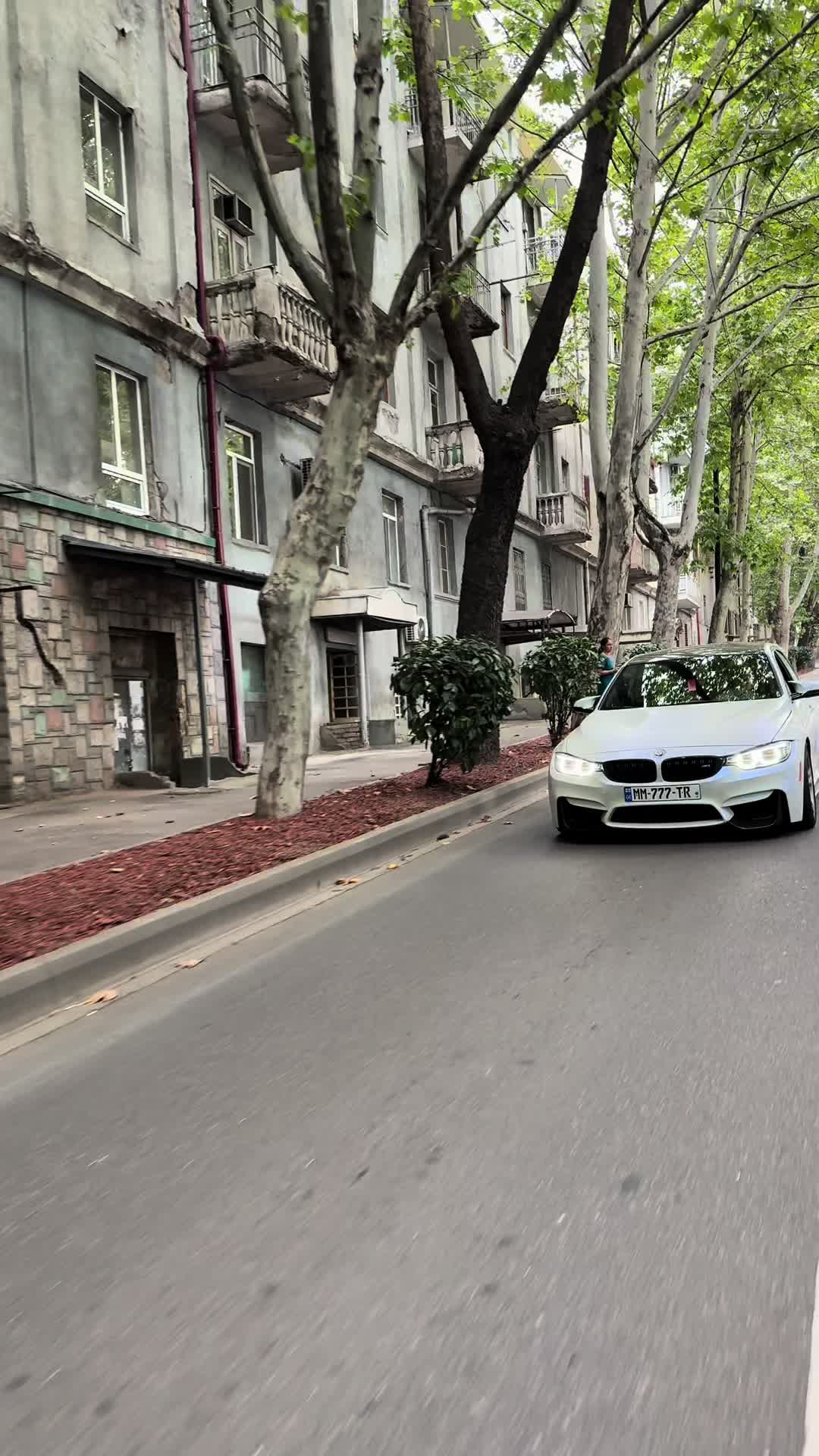 @vaxo muradxanashvili