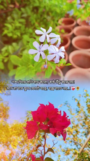 @N&ordf;&eth;&iexcl;m &sect;&ordf;&reg;k&euro;