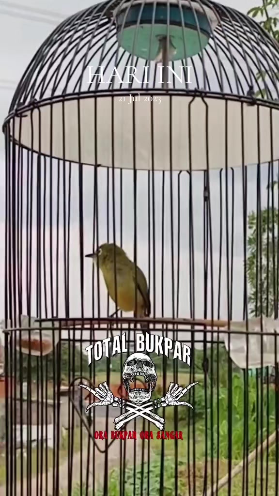 @totalbukpar