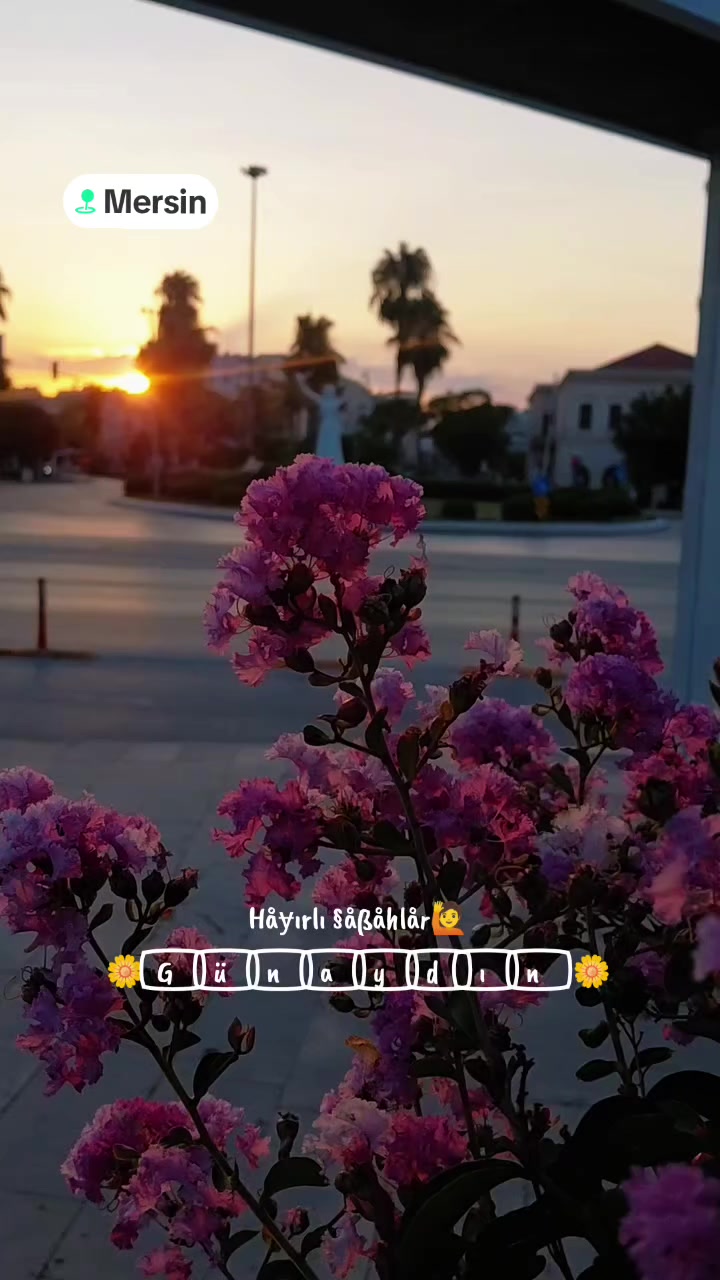 @tc.&ccedil;erkeskızı