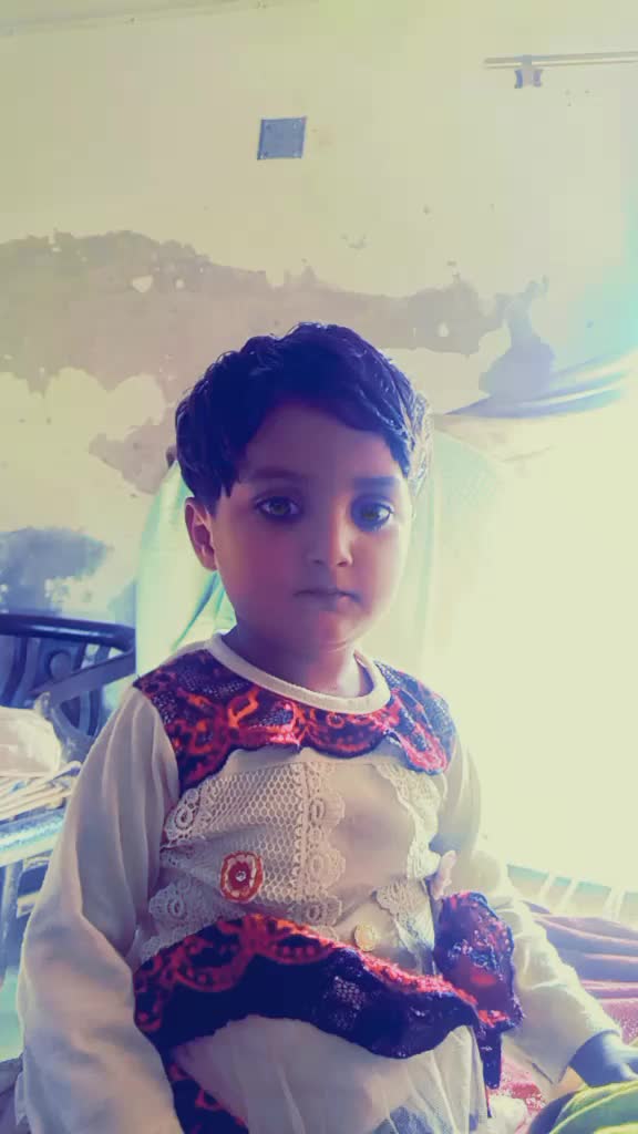 @shakeelrahmani535