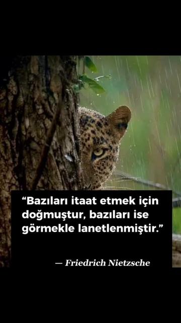 @Mehrac Dadasov