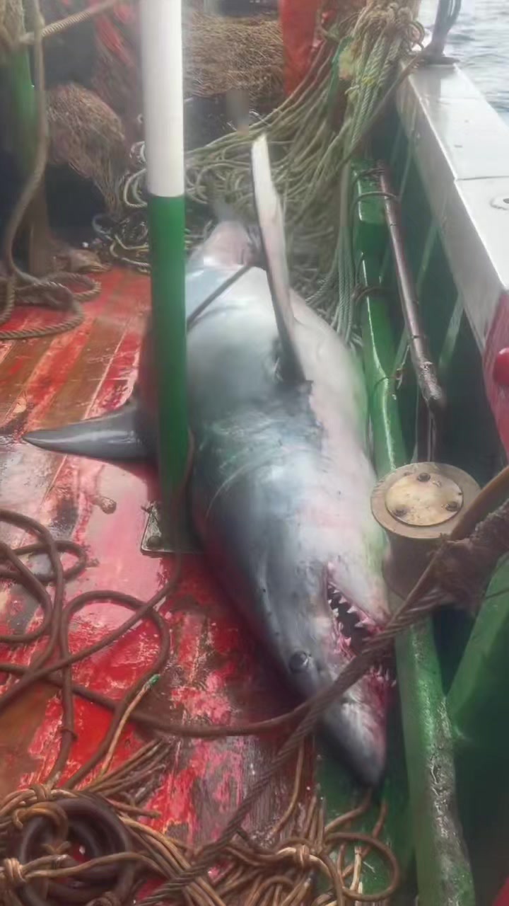 @🛳️hàmìdø⚓⚡Ræysë🐬🏴☠️