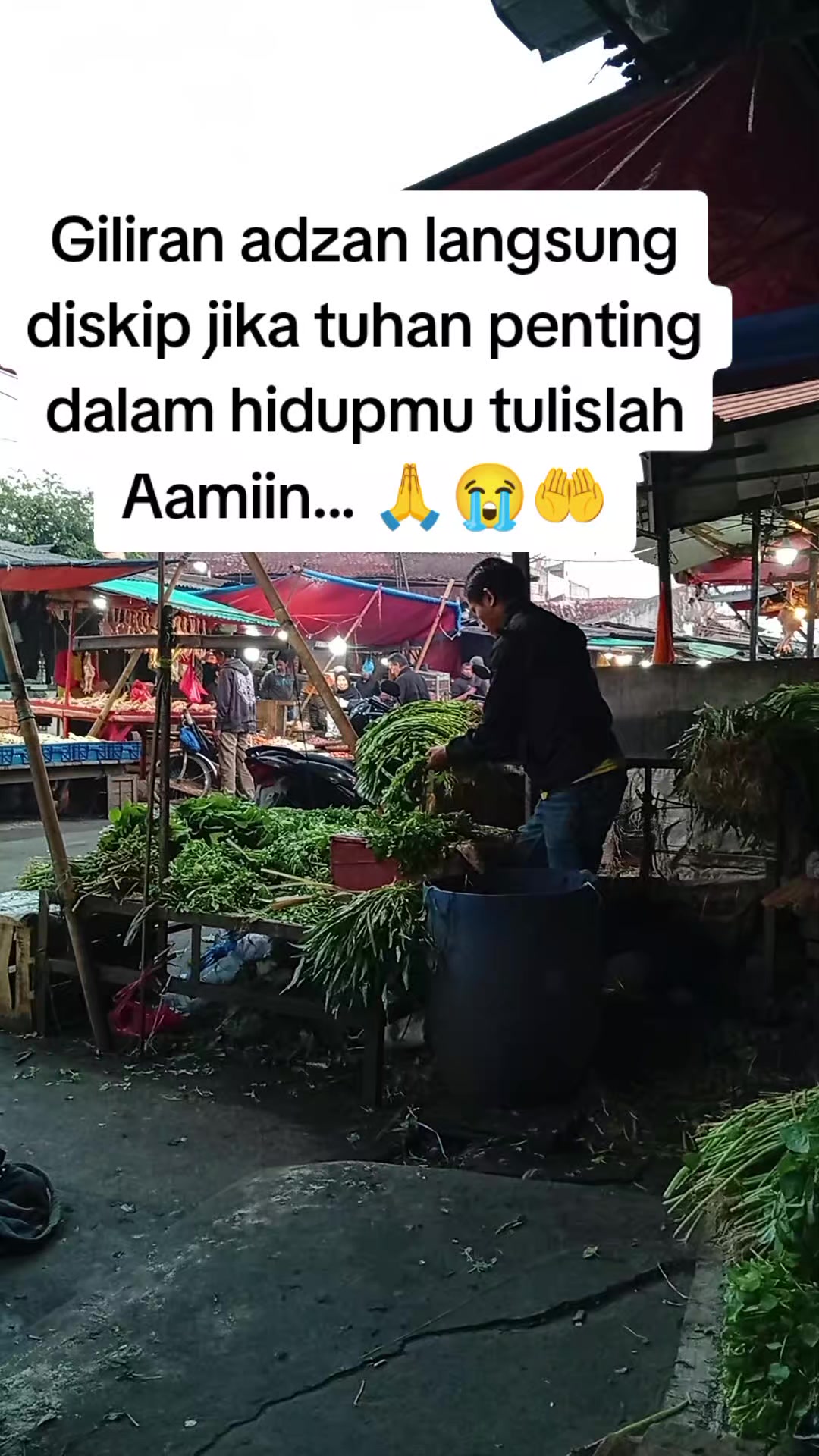@Zayuran ajang