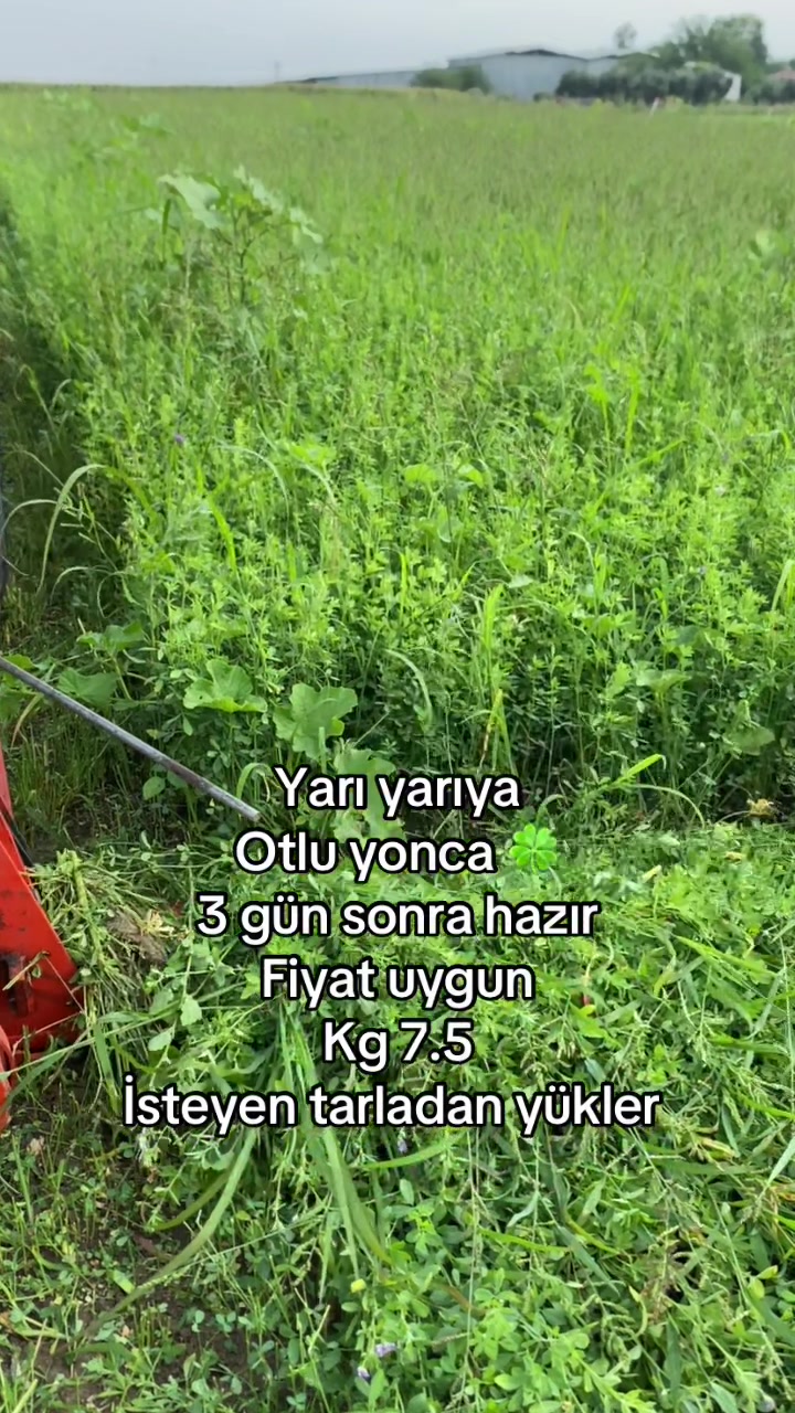 @G&uuml;ven897
