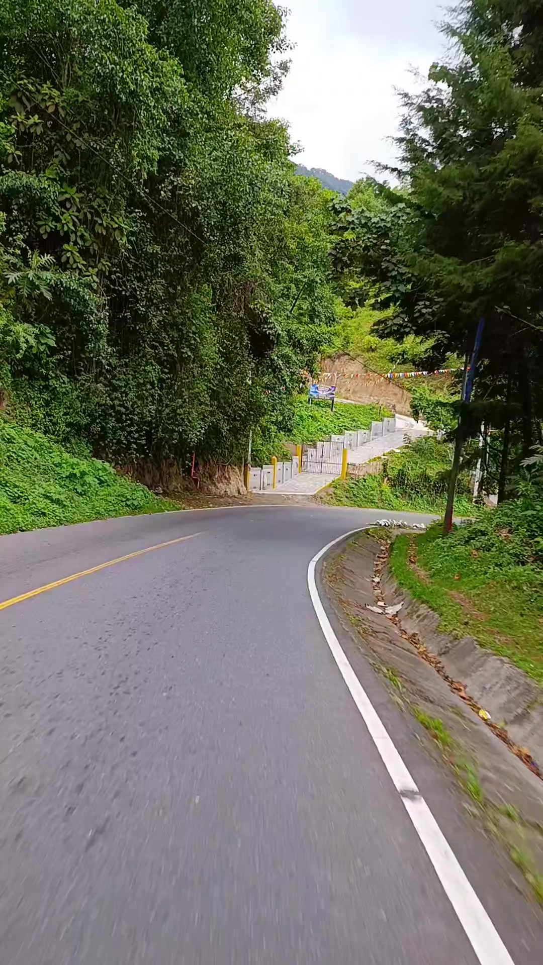 @F&Eacute;NIX🇬🇹🔱🏍️🥷🇬🇹