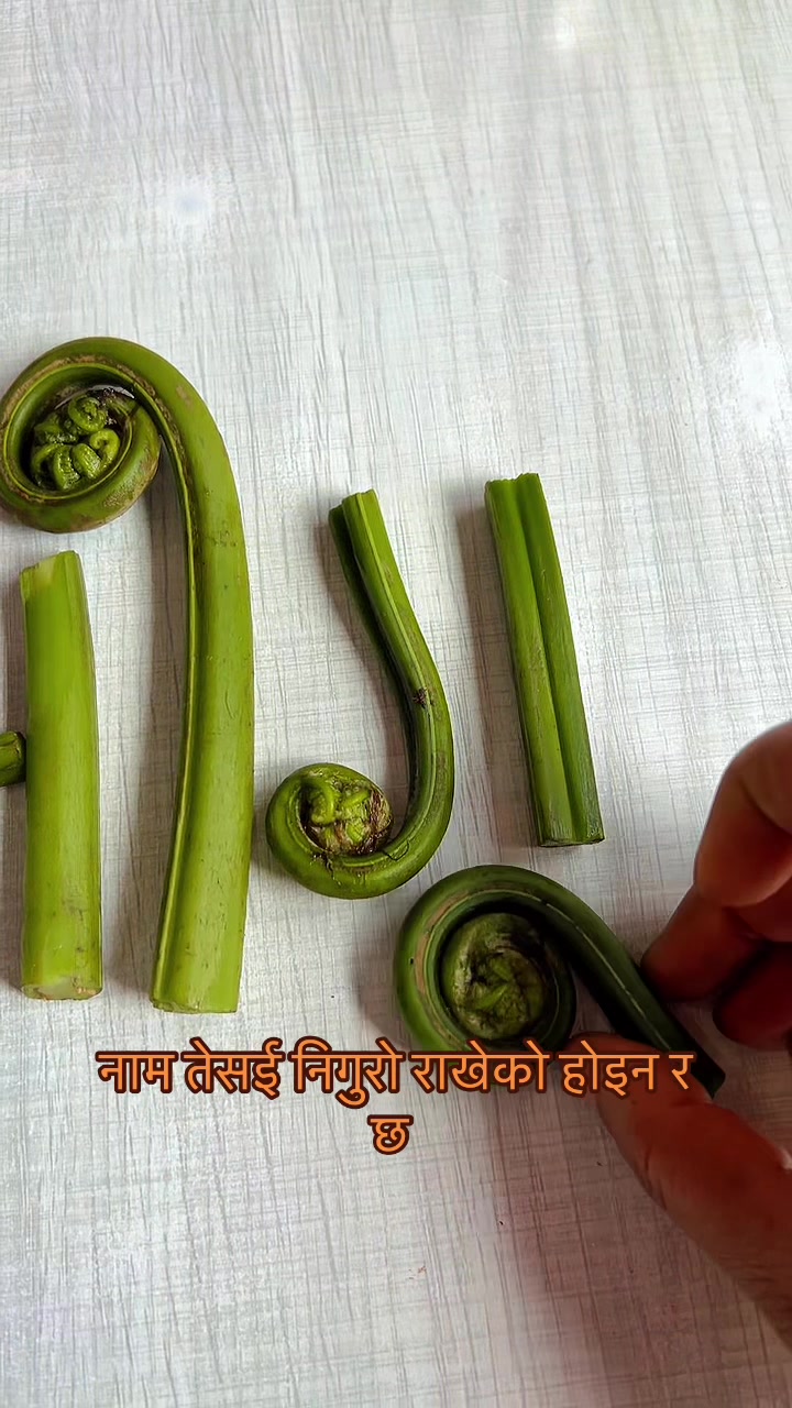 @Ajita Bhattarai
